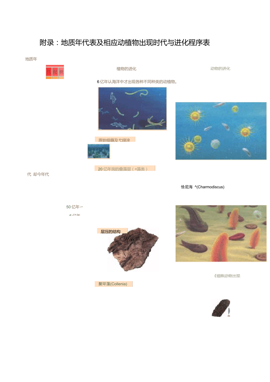 附录地质年代表及相应动植物出现时代与进化程序表_第1页