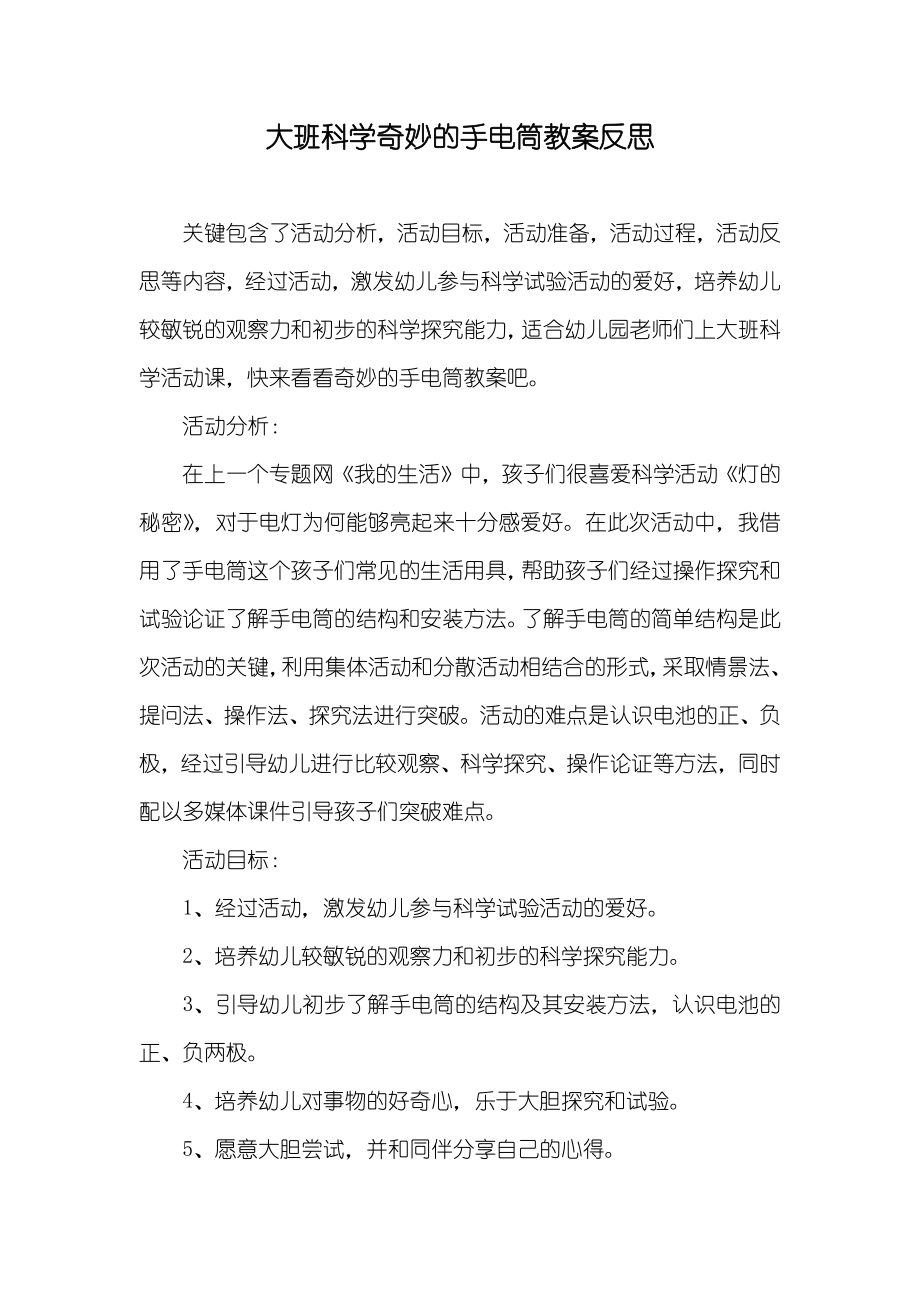 大班科学奇妙的手电筒教案反思_第1页