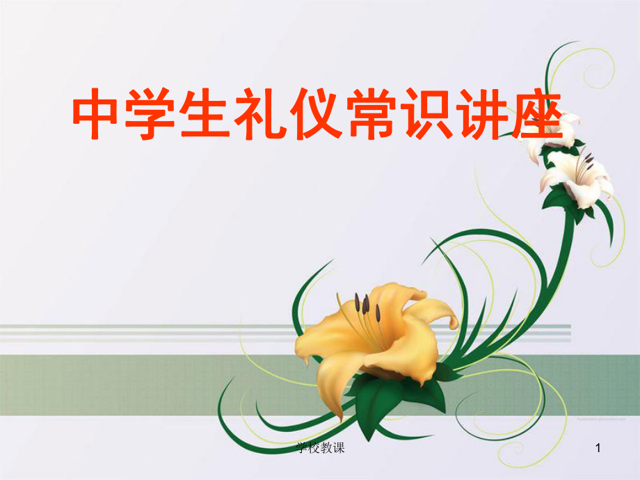 中学生常用礼仪知识讲座（高级教学）_第1页