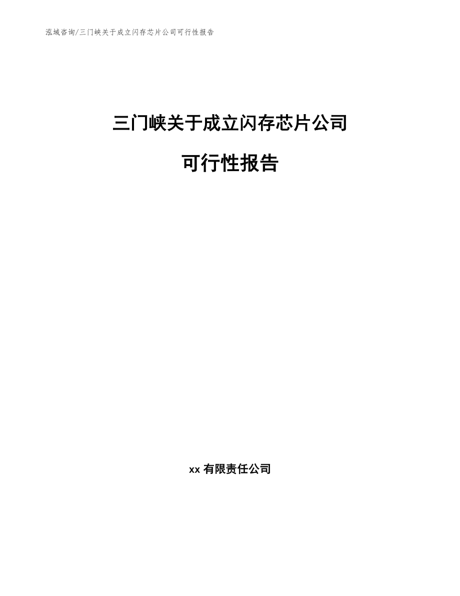 三门峡关于成立闪存芯片公司可行性报告（范文参考）_第1页