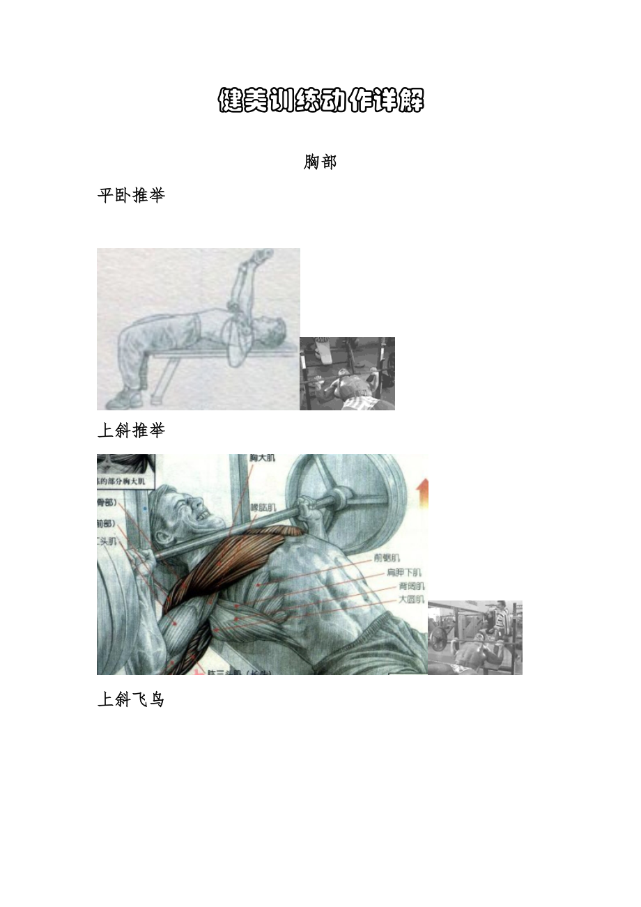 健美健身各部位训练动作详解及图示_第1页