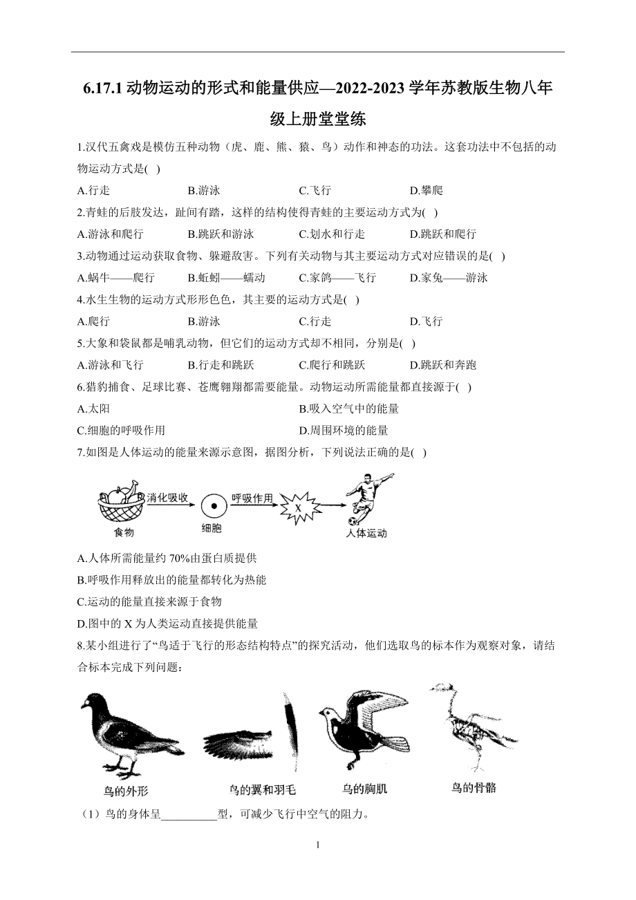6.17.1动物运动的形式和能量供应—2022-2023学年苏教版生物八年级上册堂堂练(word版含解析）_第1页