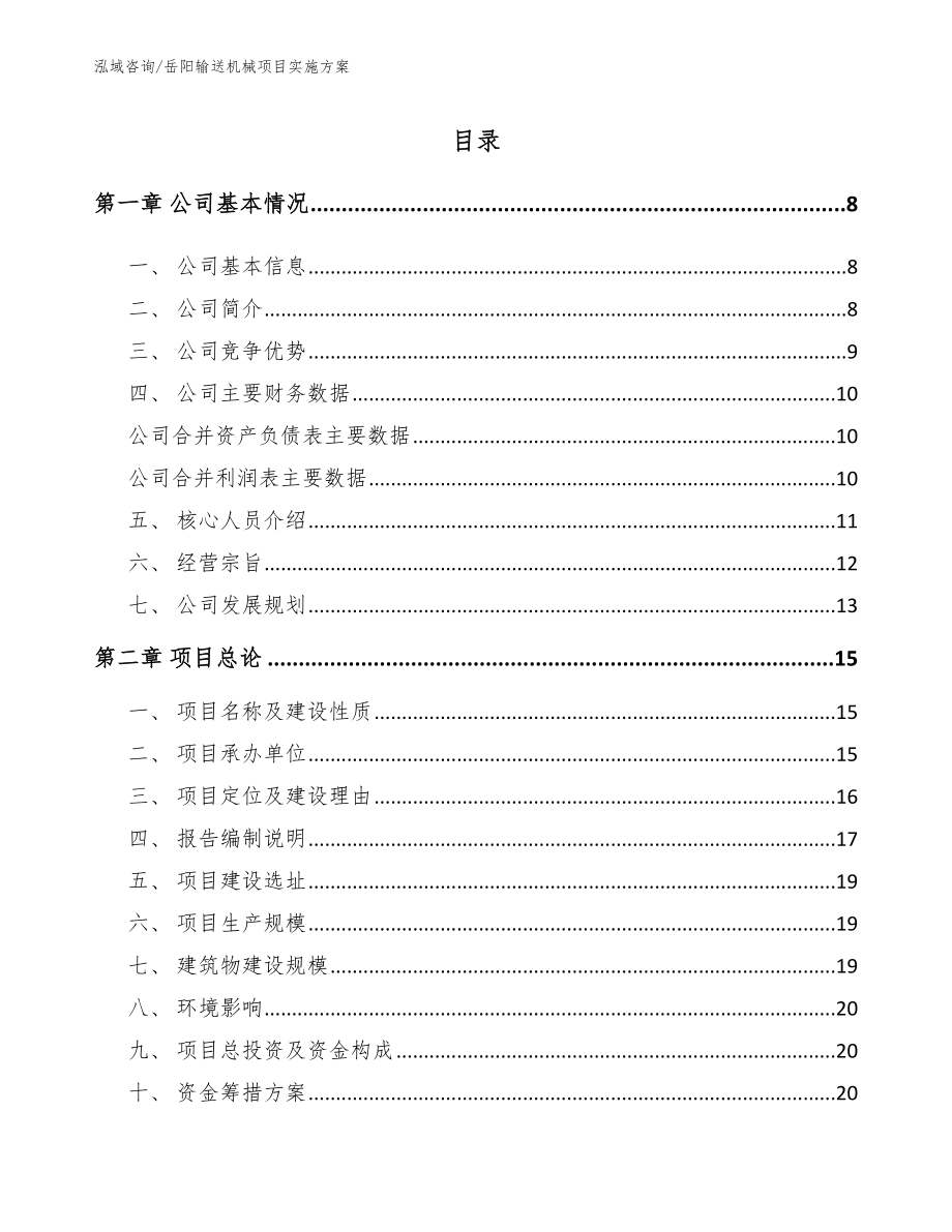 岳阳输送机械项目实施方案_第1页
