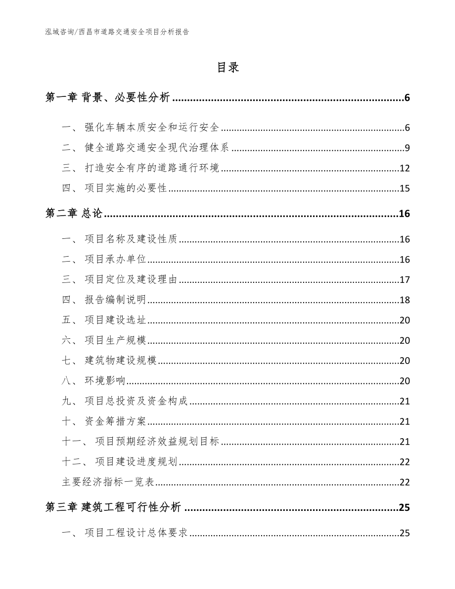 西昌市道路交通安全项目分析报告_参考范文_第1页