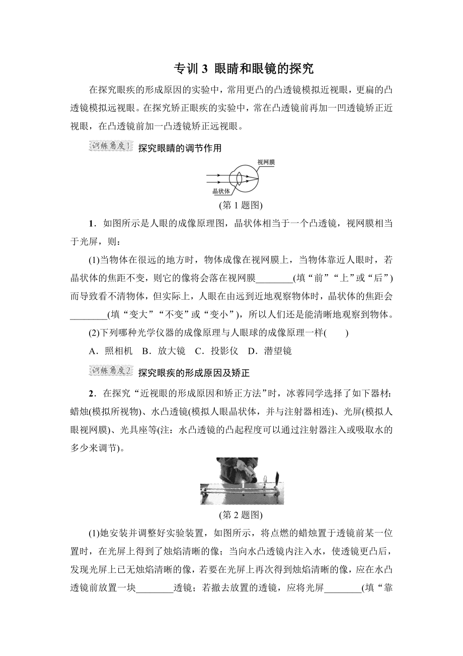 沪粤版八年级上册物理 第3章高频考点专训 专训3　眼睛和眼镜的探究_第1页