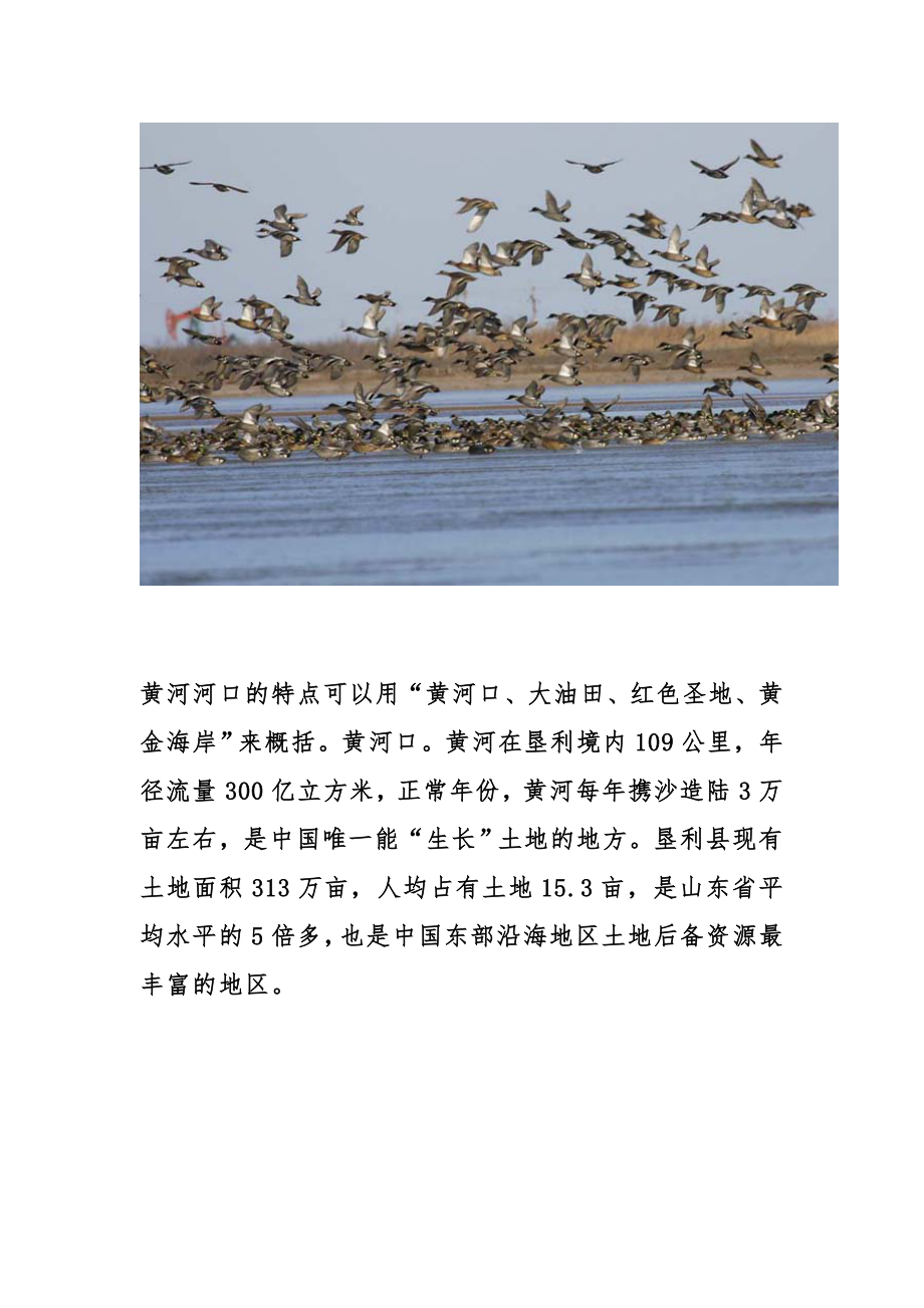 黄河河口的特点_第1页