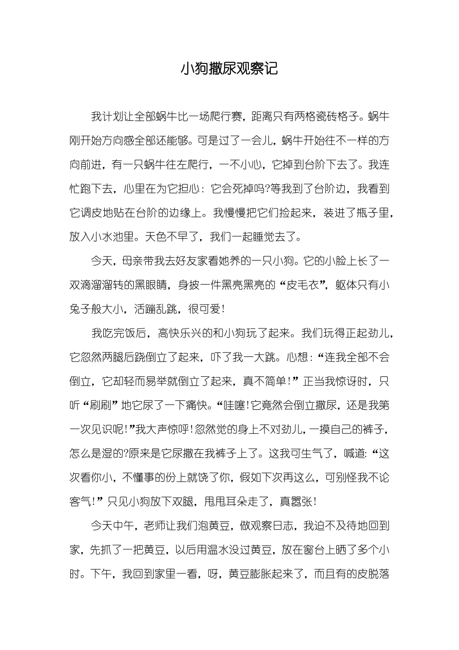 小狗撒尿观察记_第1页