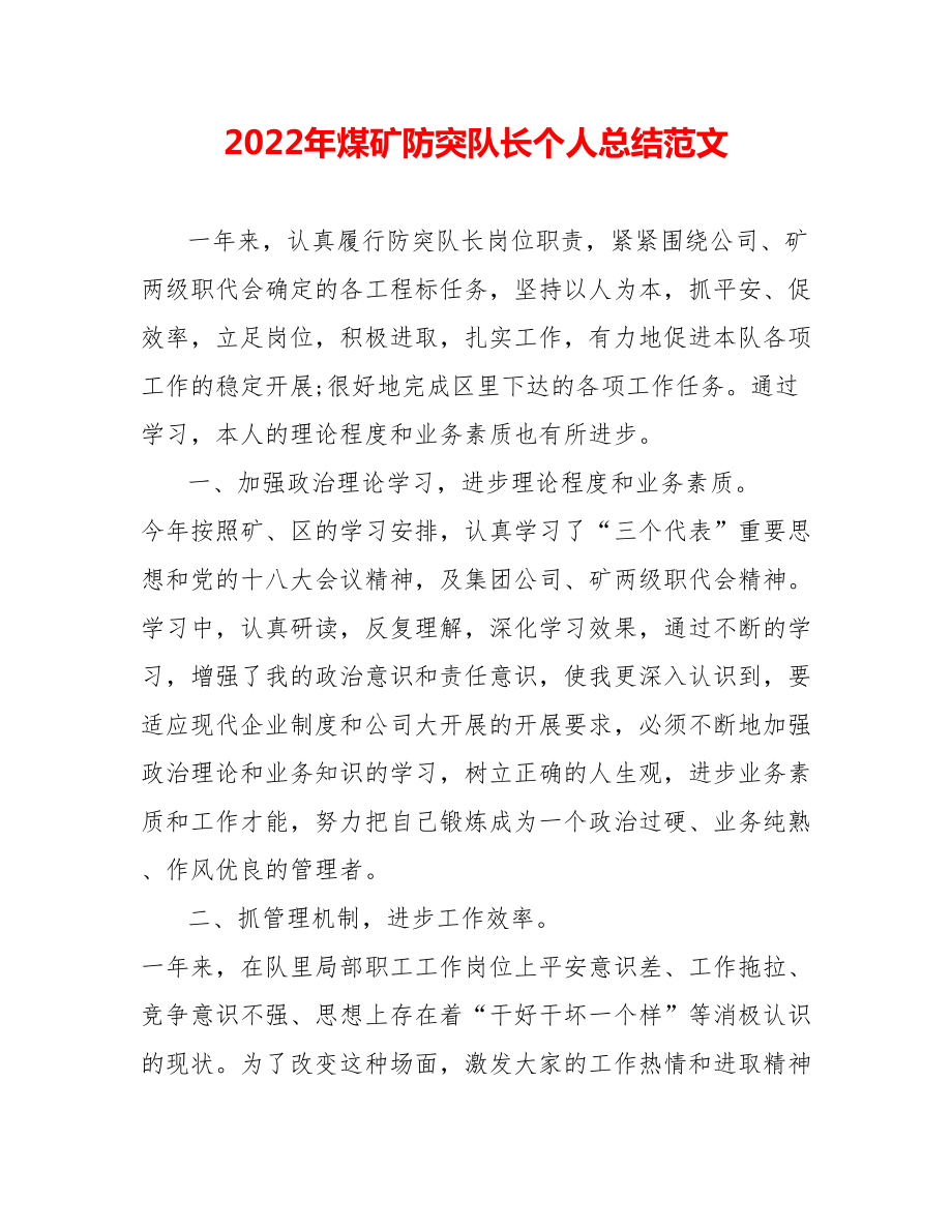 202_年煤矿防突队长个人总结范文_第1页