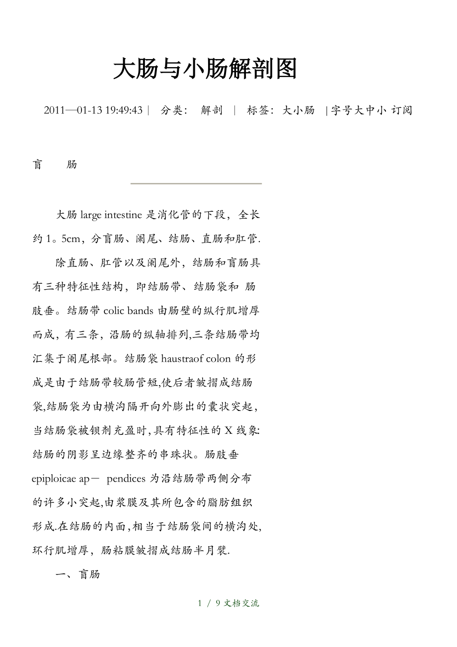大肠与小肠解剖图干货分享_第1页