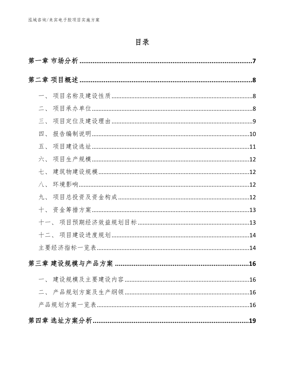 来宾电子胶项目实施方案【范文】_第1页