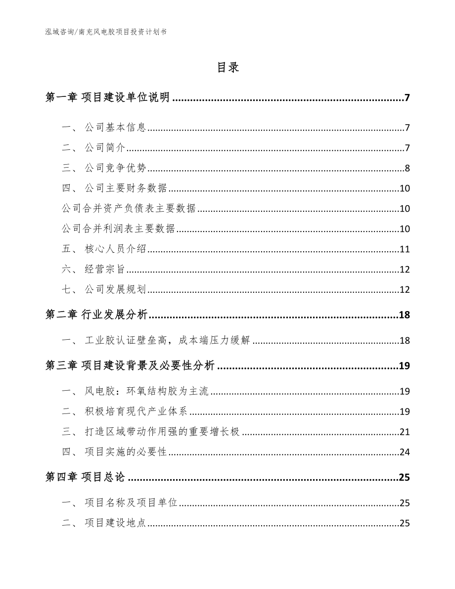 南充风电胶项目投资计划书【参考范文】_第1页
