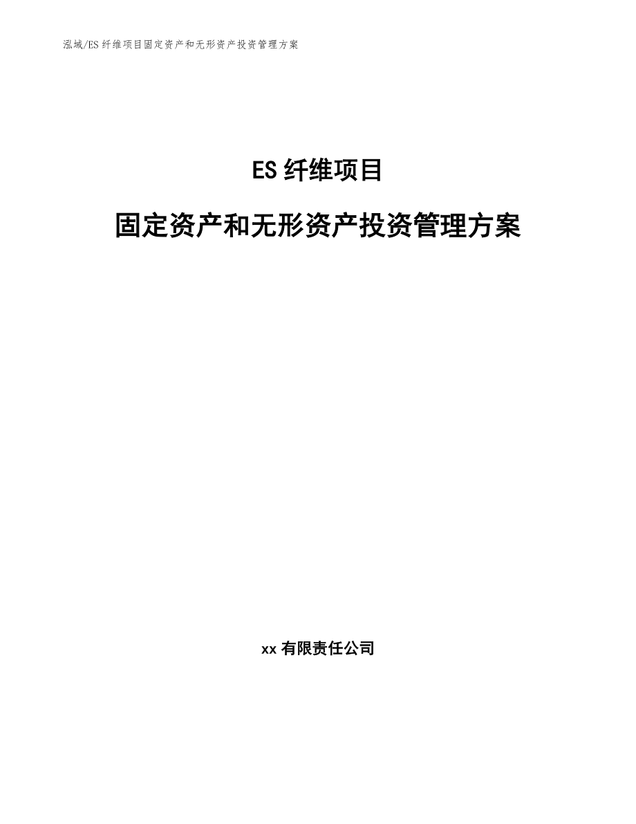 ES纤维项目固定资产和无形资产投资管理方案_第1页