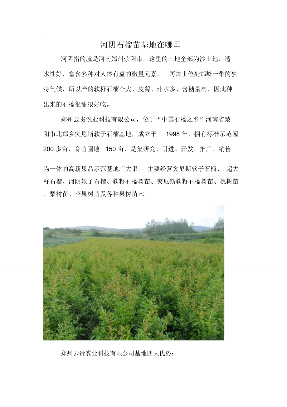 河阴石榴苗基地在哪里_第1页