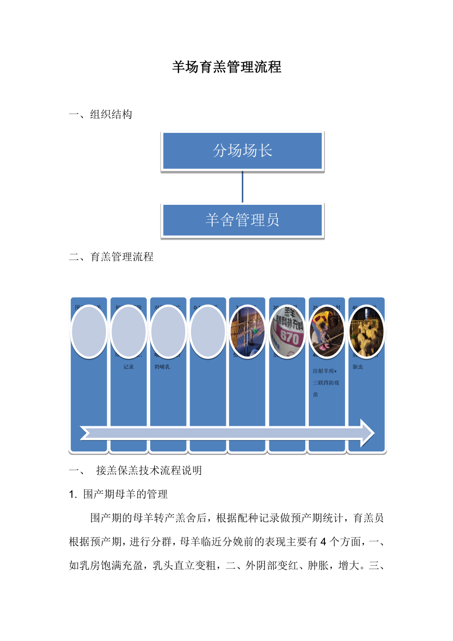 羊场育羔管理流程_第1页