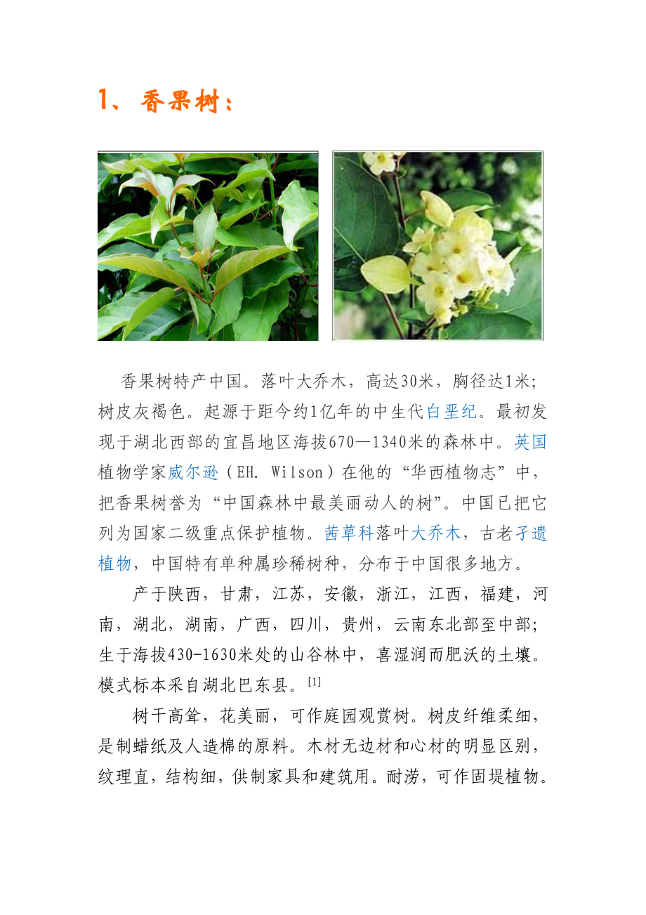 适合在黄山种植的花卉,树木_第1页