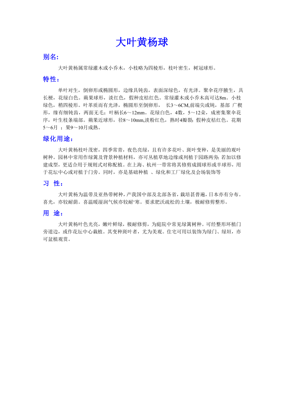 大叶黄杨球植物的特性_第1页