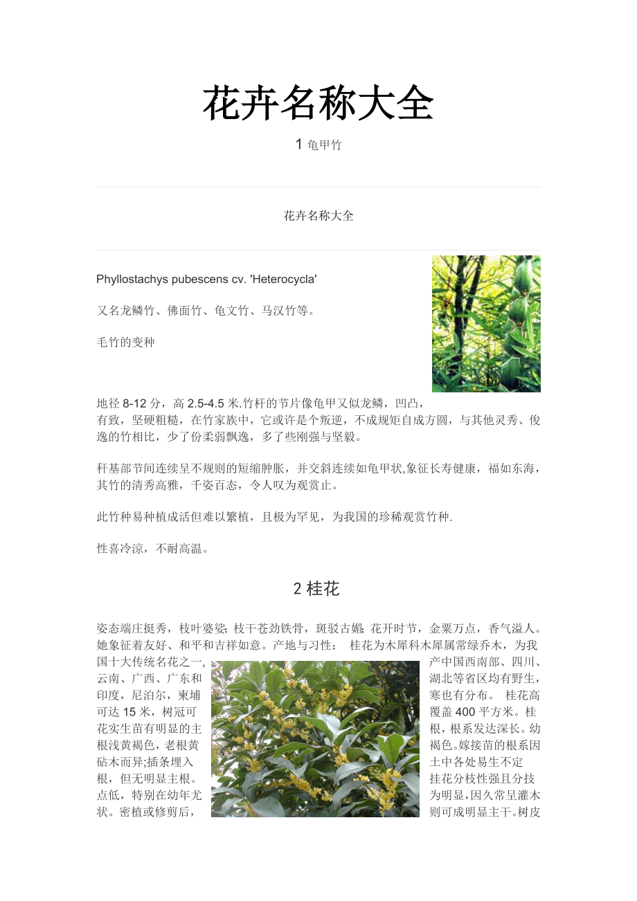 花卉名称大全====乔木_第1页