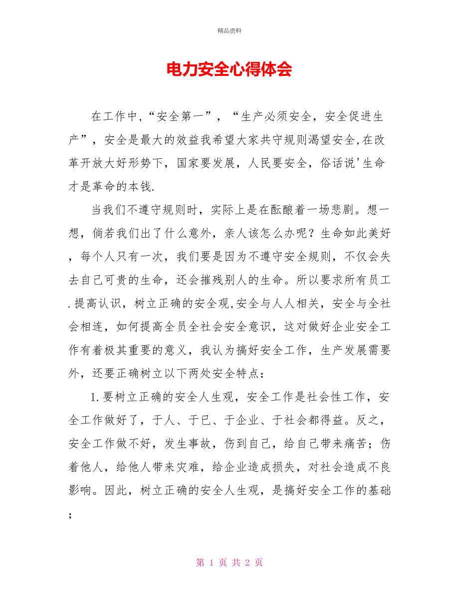 电力安全心得体会_第1页