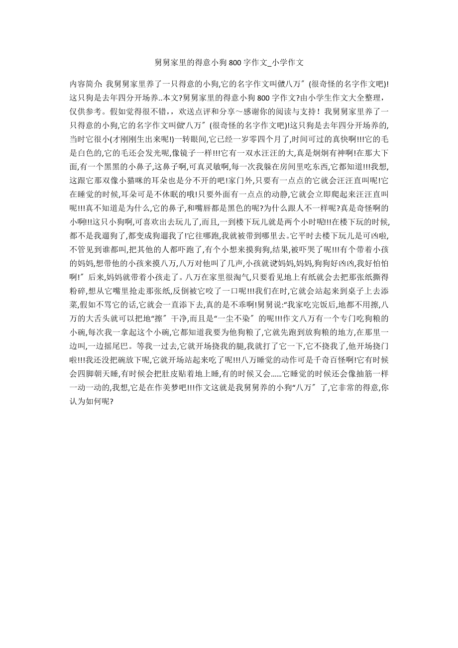 舅舅家里的可爱小狗800字作文_第1页