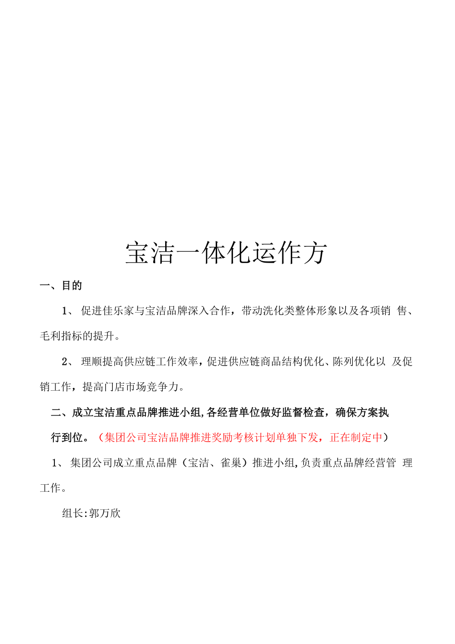 宝洁一体化运作方案模板_第1页