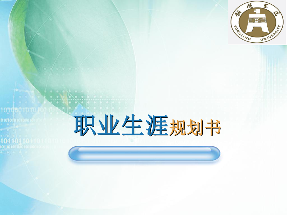 职业生涯规划书_第1页