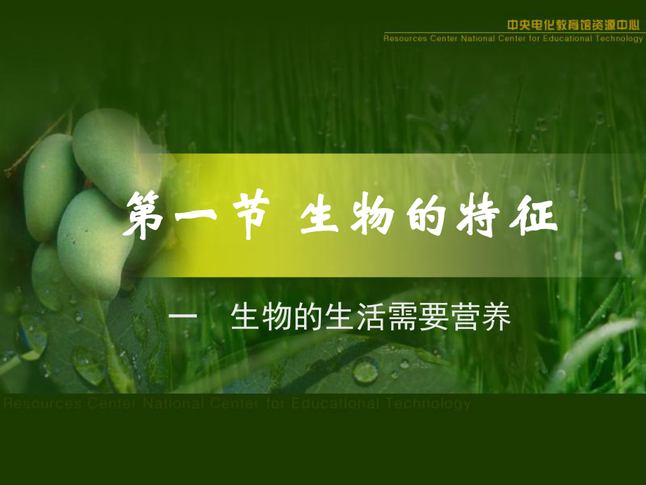 生物的特征.ppt_第1页