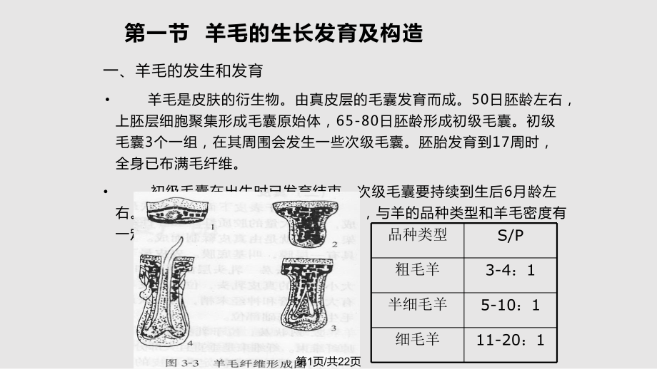 羊毛纤维类型_第1页