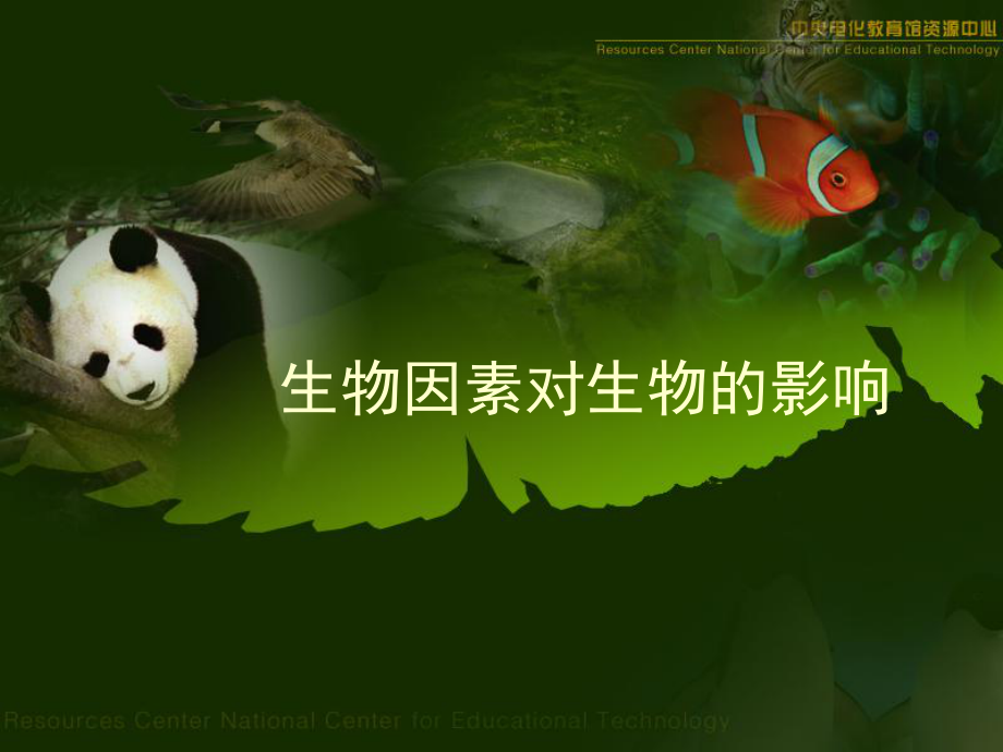 生物因素对生物的影响_第1页