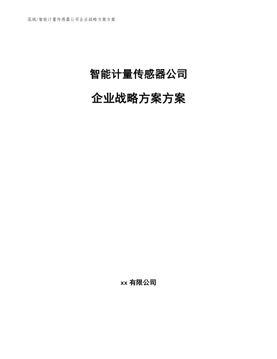 智能计量传感器公司企业战略方案方案（范文）_第1页
