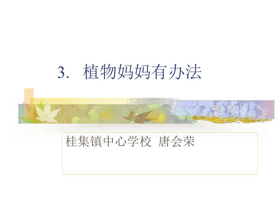 植物妈妈有办法课件 (3)_第1页