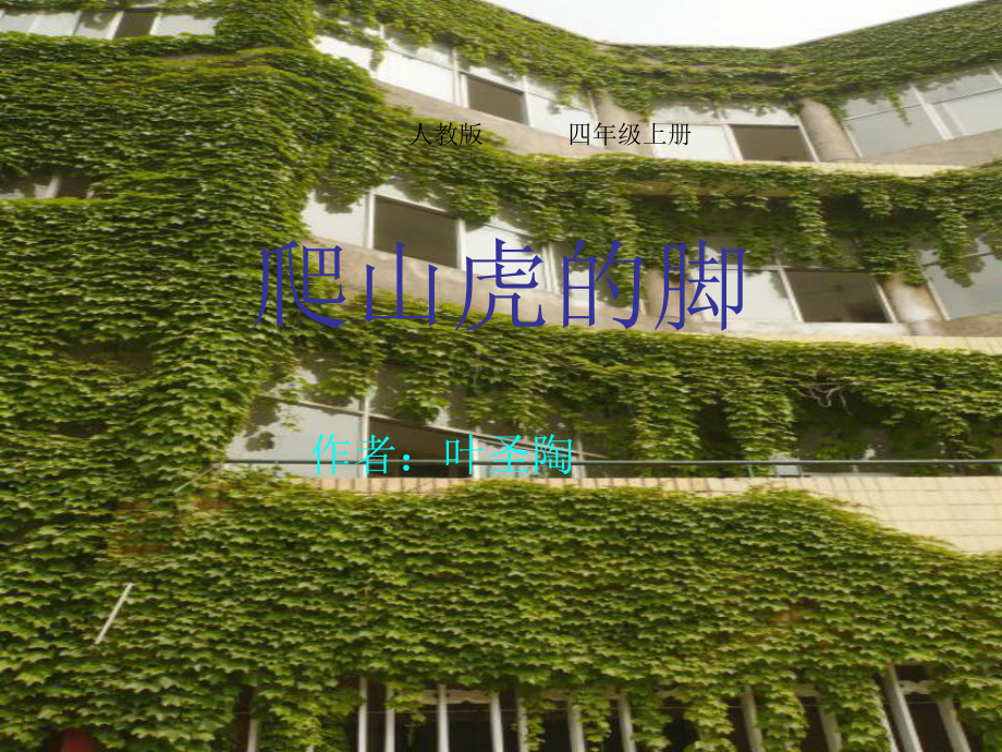 爬山虎的脚ppt课件【20页】_第1页