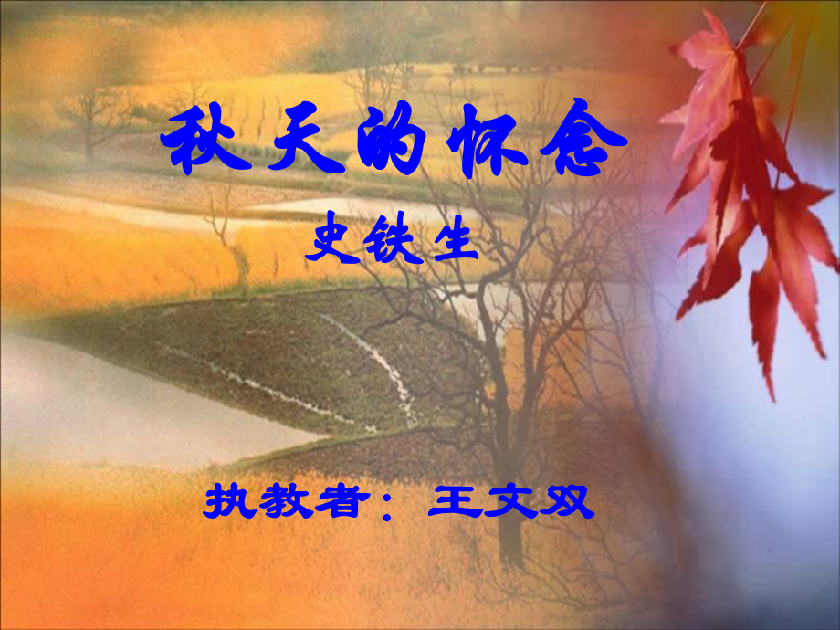 天的怀念王文双_第1页