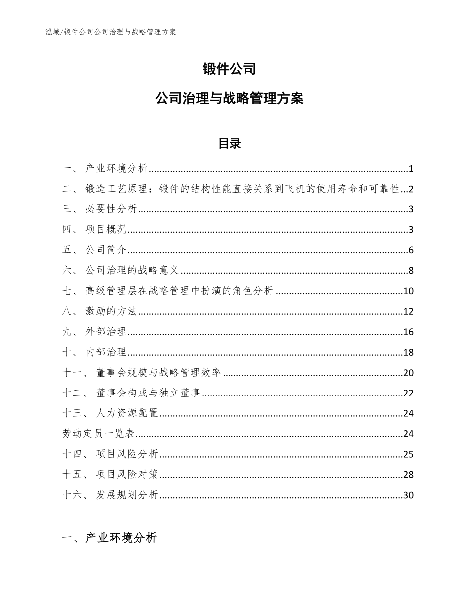 锻件公司公司治理与战略管理方案【参考】_第1页