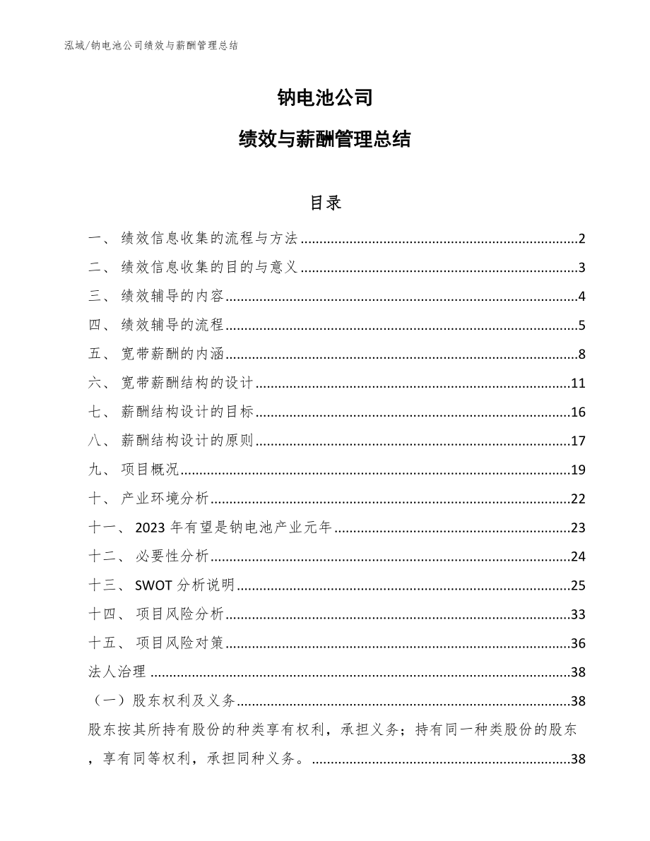 钠电池公司绩效与薪酬管理总结_第1页