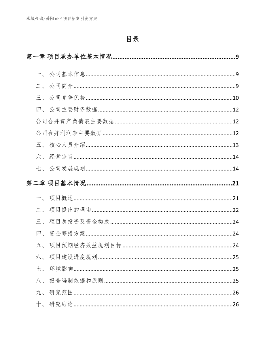 岳阳mPP项目招商引资方案_第1页