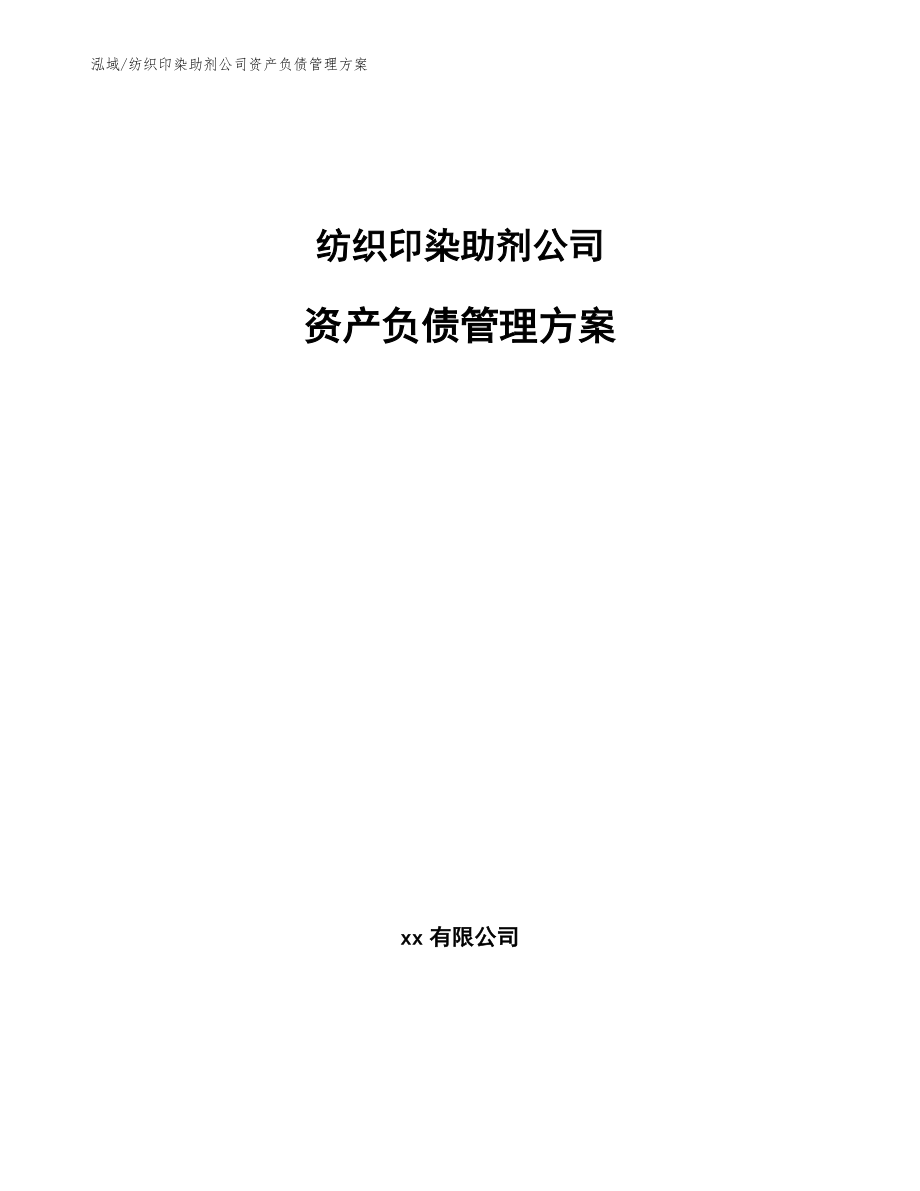 纺织印染助剂公司资产负债管理方案【范文】_第1页