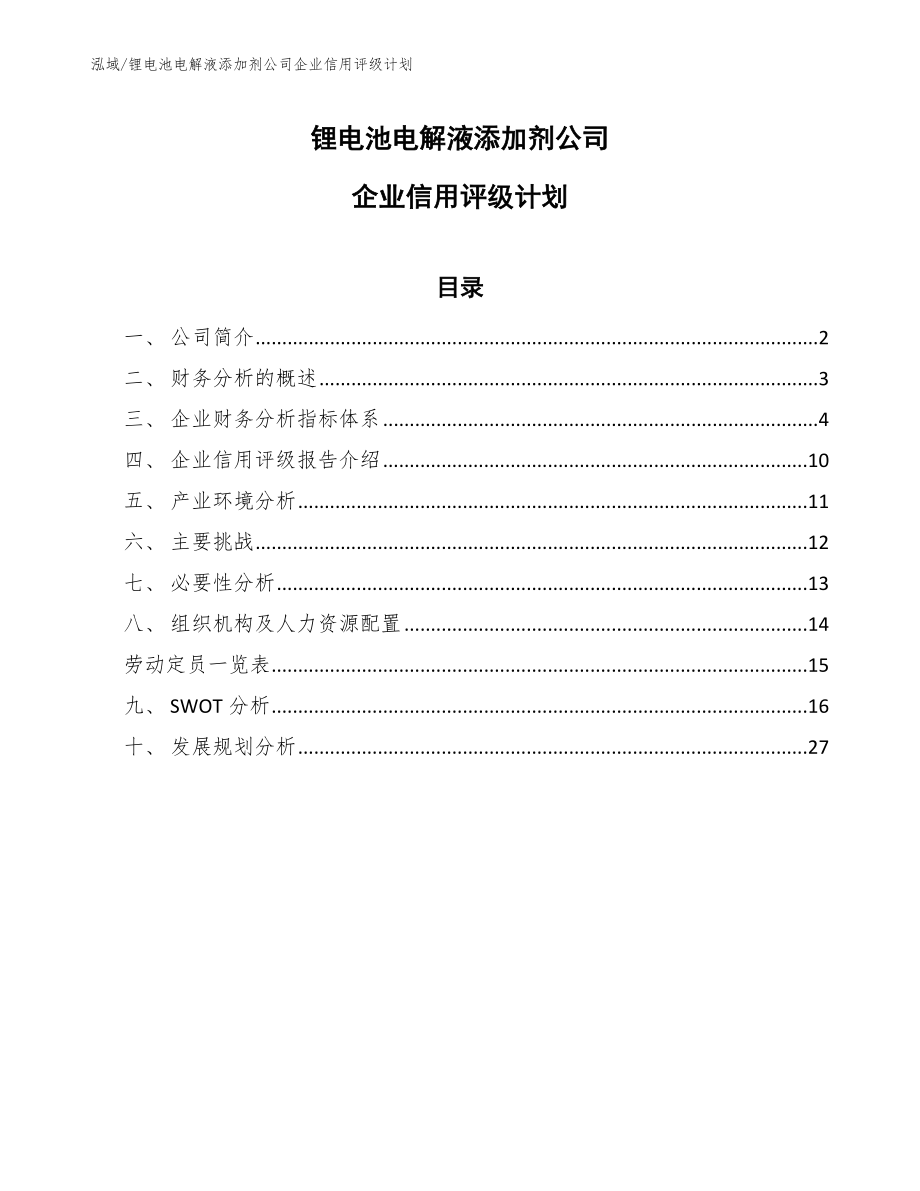 锂电池电解液添加剂公司企业信用评级计划_范文_第1页