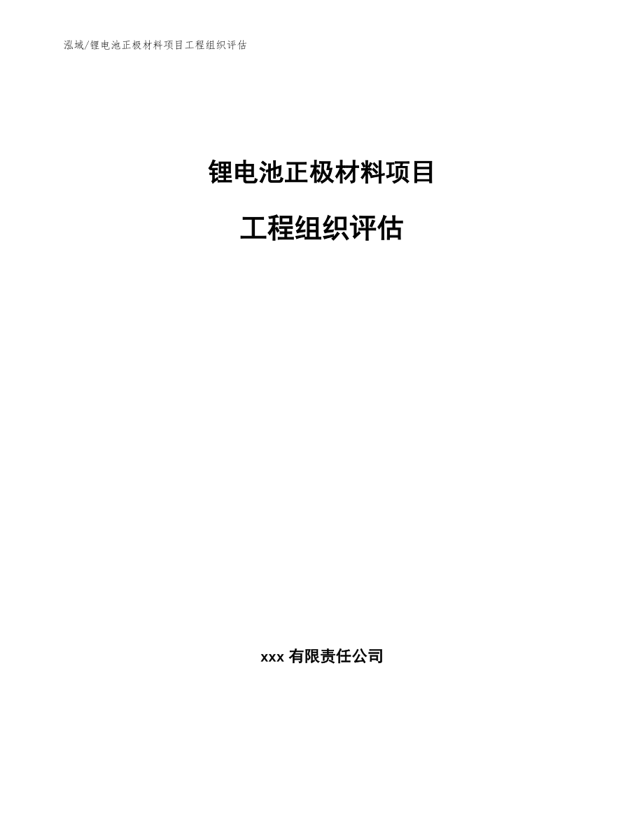 锂电池正极材料项目工程组织评估【范文】_第1页