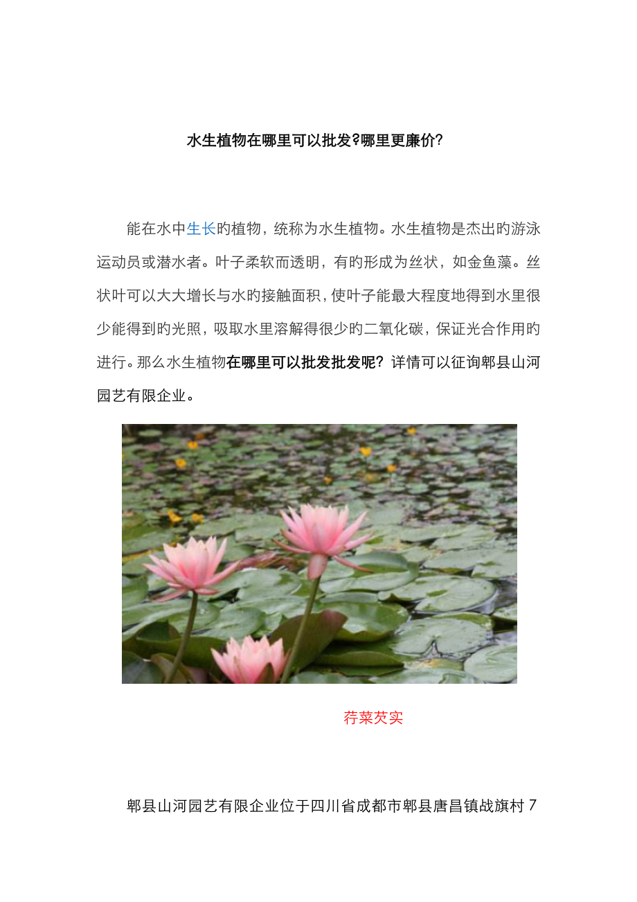 水生植物在哪里可以批发哪里更便宜_第1页