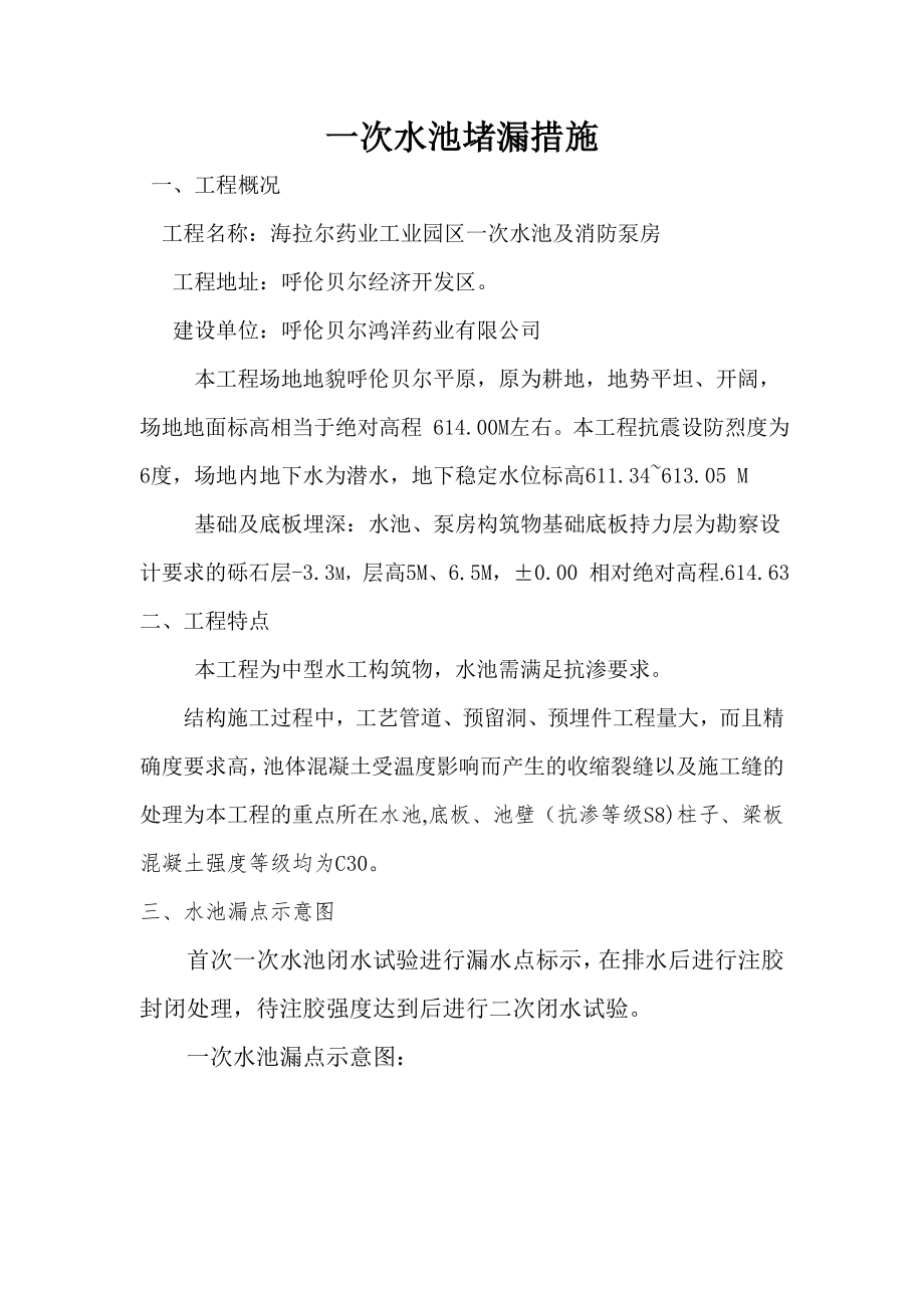 一次水池堵漏措施_第1页