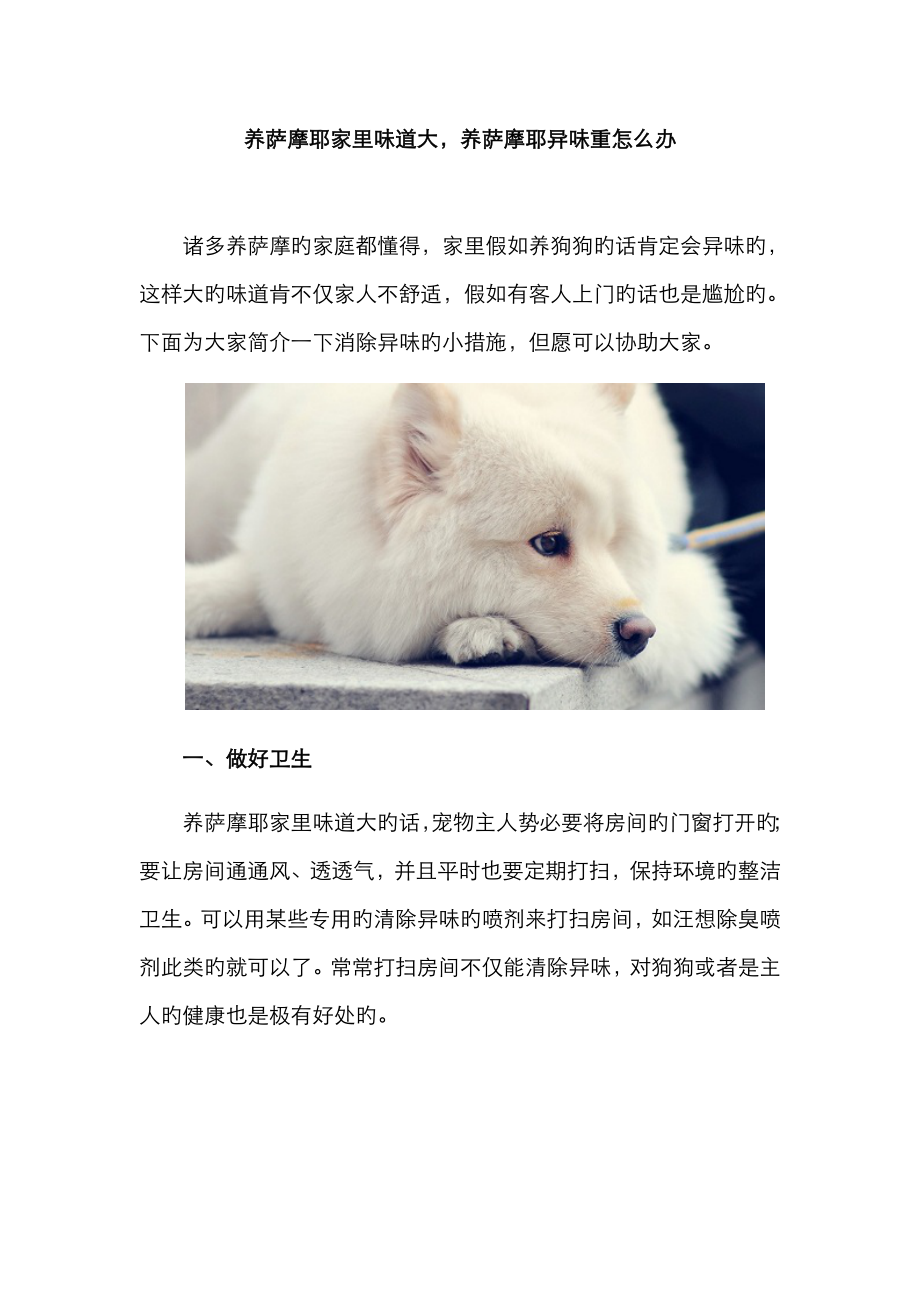 养萨摩耶家里味道大养萨摩耶异味重怎么办_第1页
