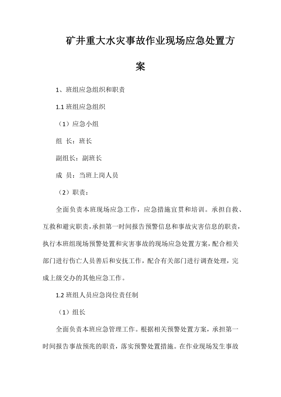 矿井重大水灾事故作业现场应急处置方案_第1页