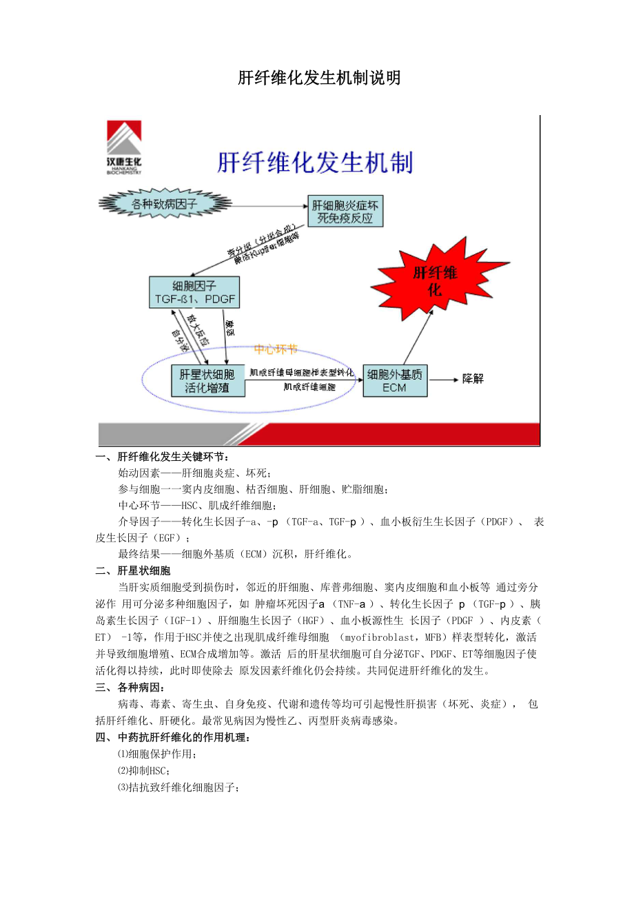 肝纤维化发生机制说明_第1页
