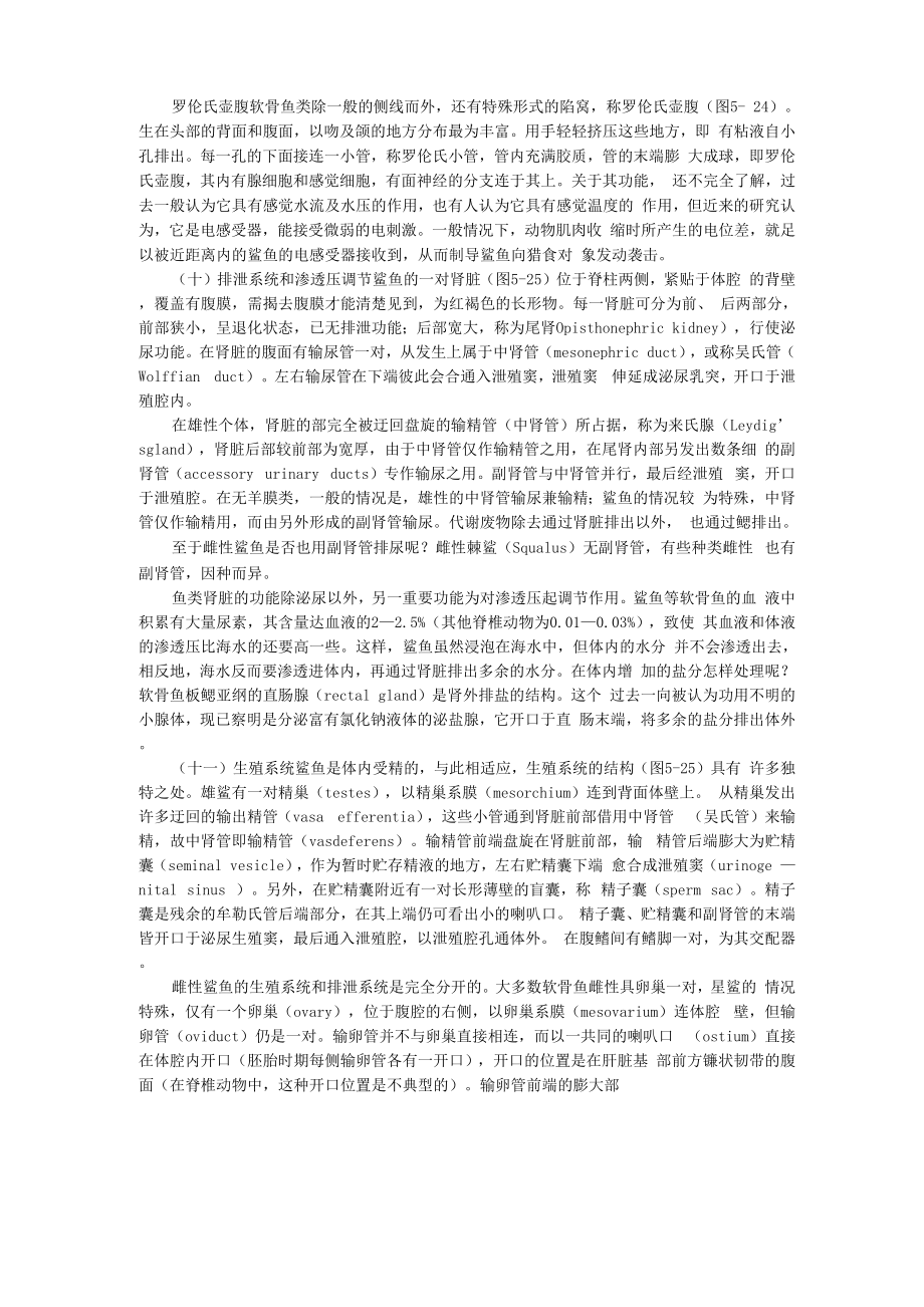 罗伦氏壶腹软骨鱼类除一般的侧线而外_第1页