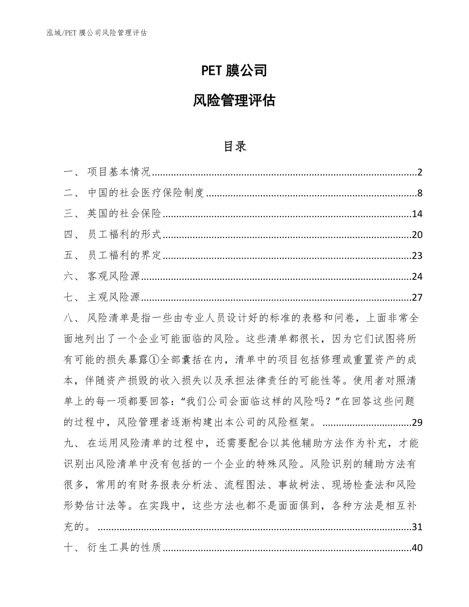 PET膜公司风险管理评估_参考_第1页