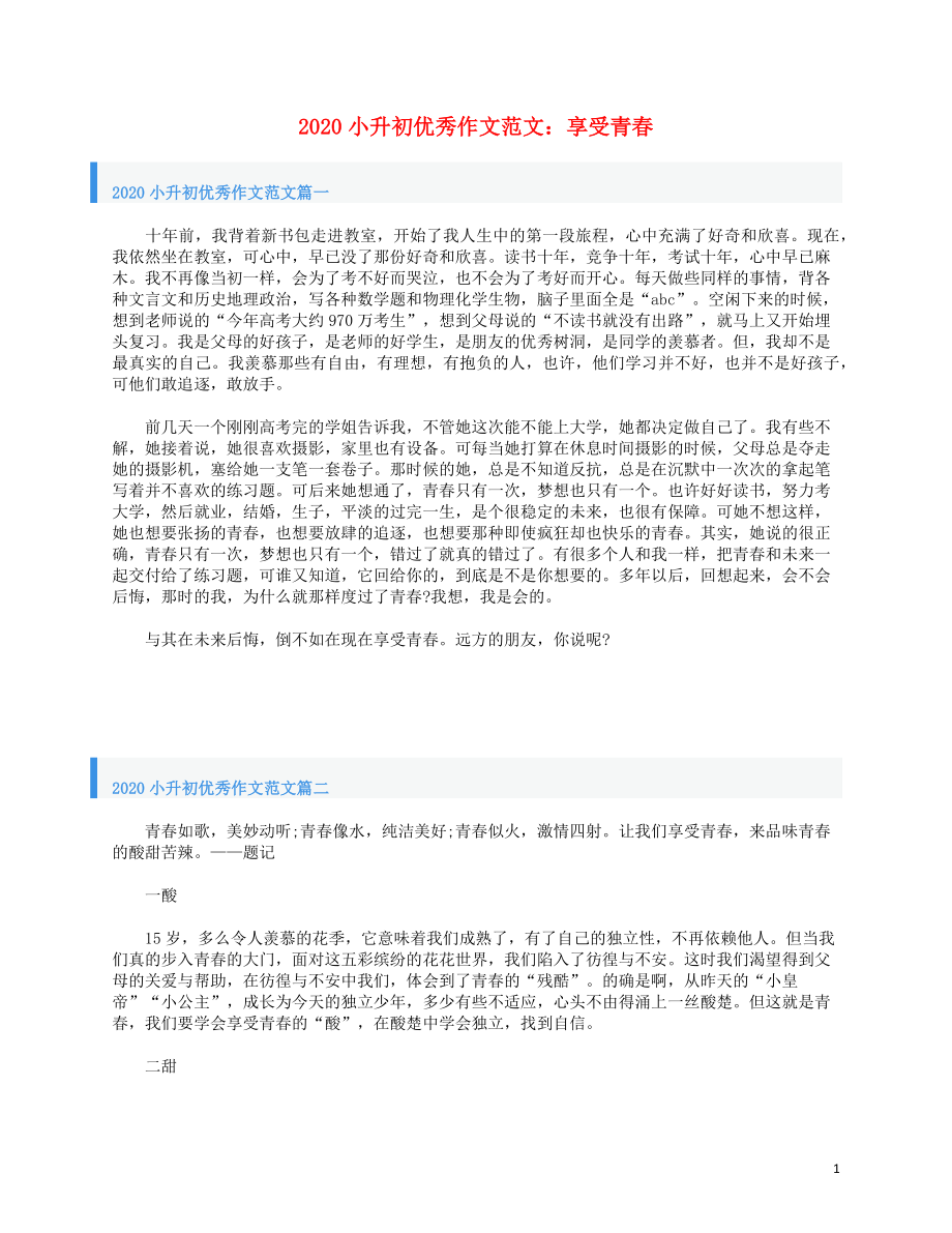 2020年小升初语文优秀作文范文享受青春素材_第1页