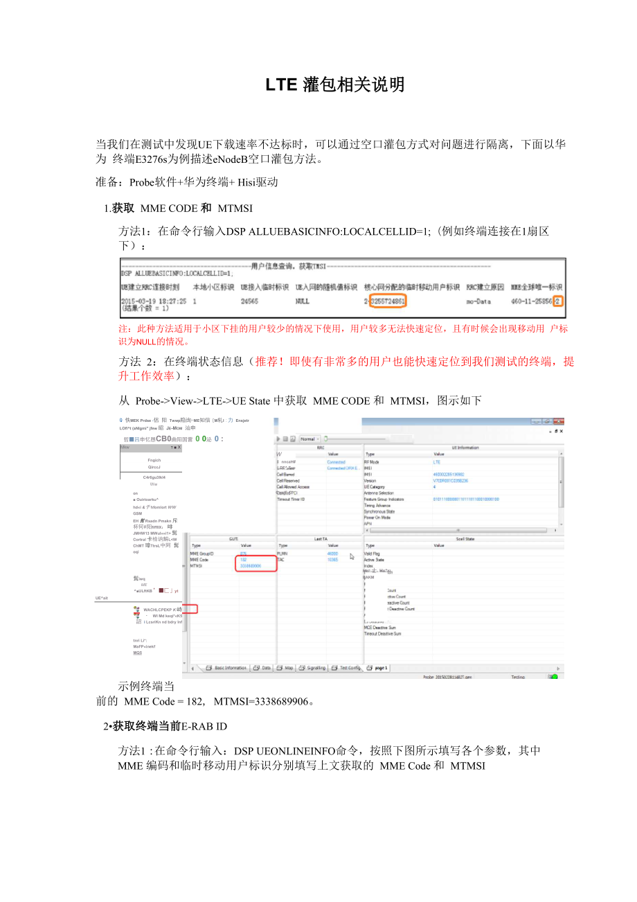 LTE灌包相关操作说明_第1页