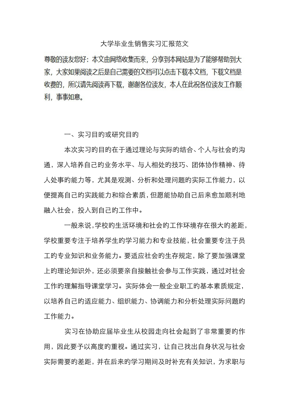 大学毕业生销售实习报告范文_第1页