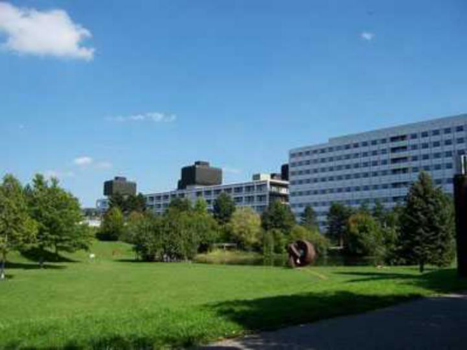 新课标人教版语文五年级下册自己的花是让别人看的课件_第1页