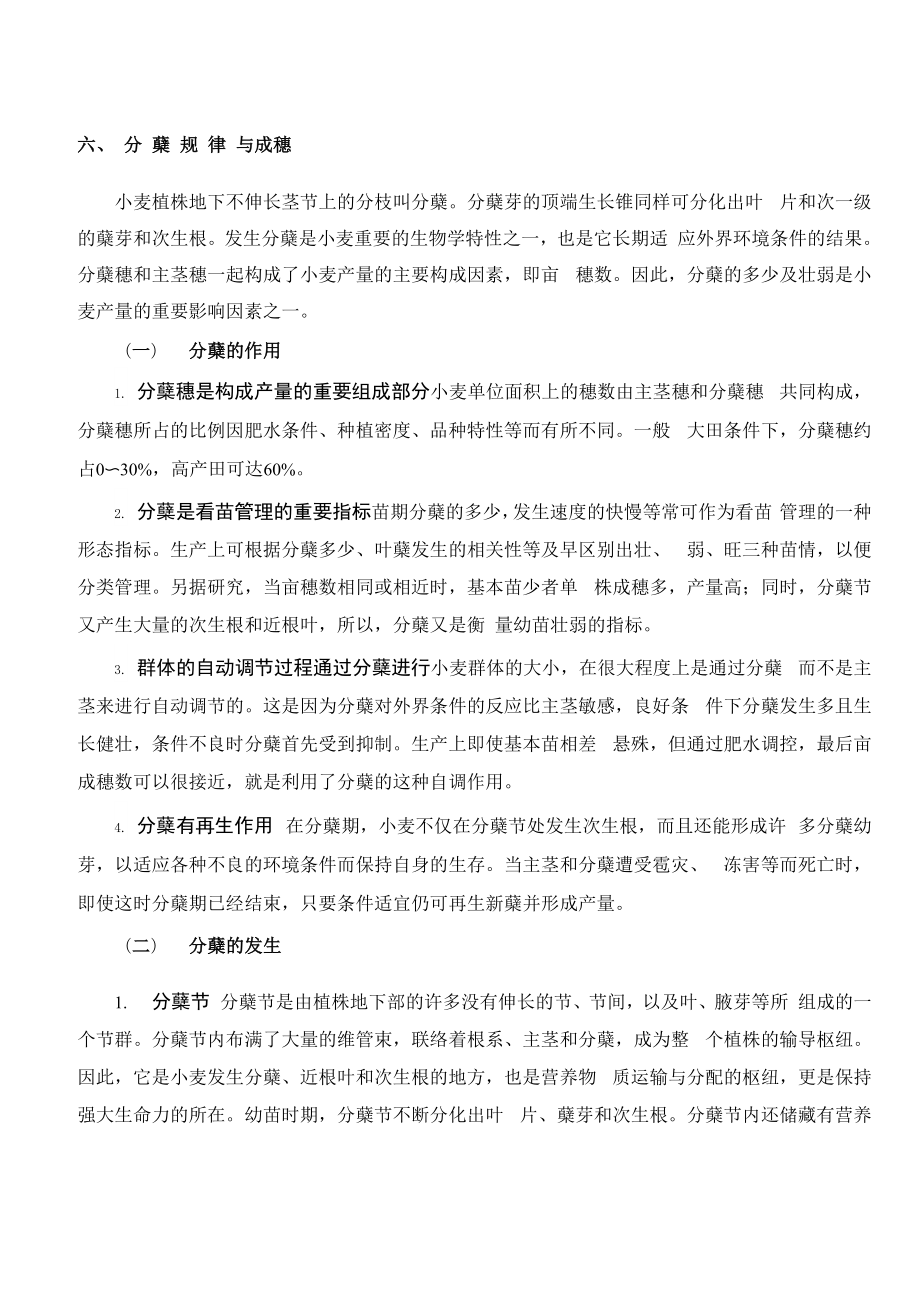 小麦分蘖规律与成穗_第1页